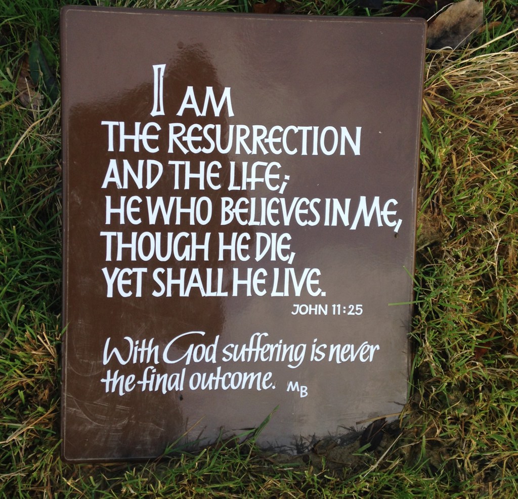 Bible text set in grass