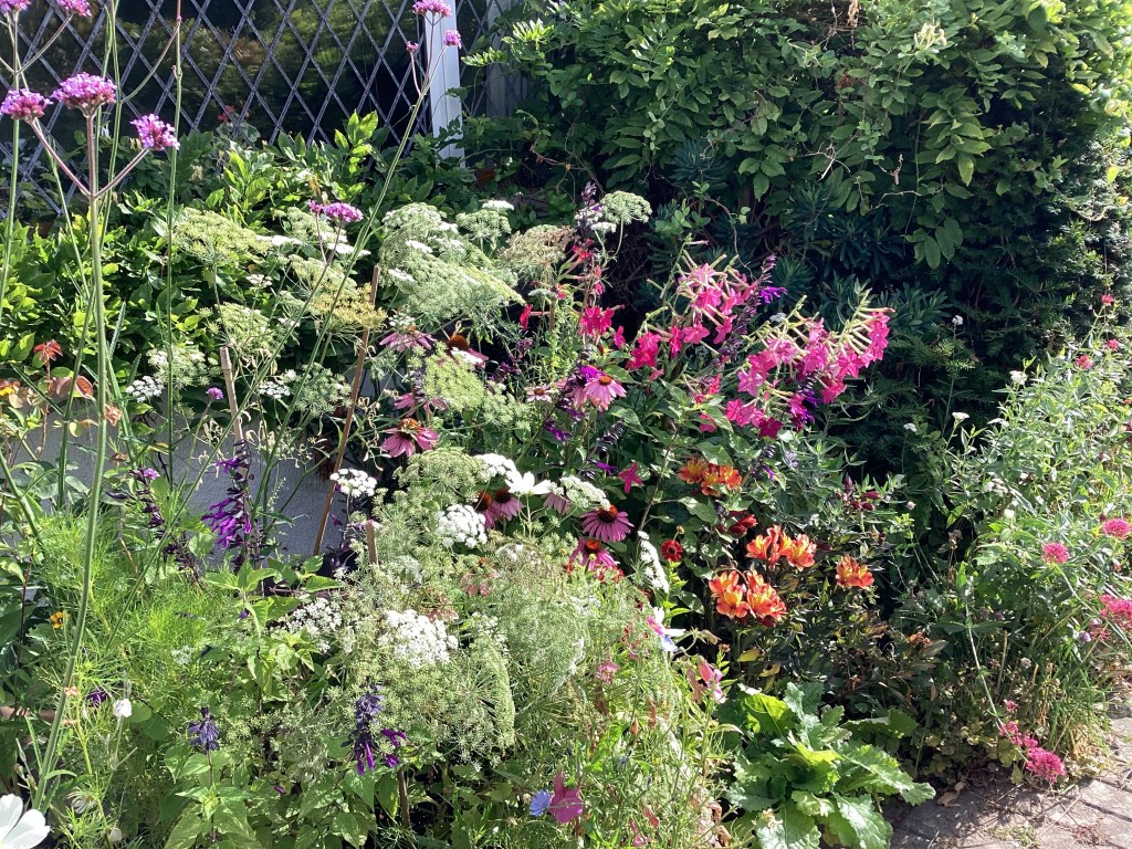 Display of pastel shades of flowers