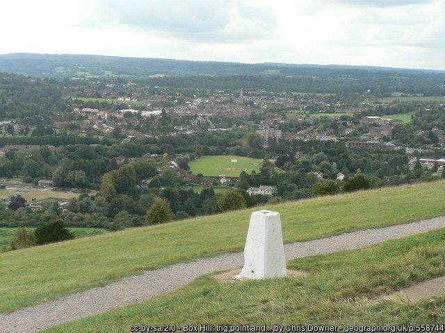 View from Box Hill over