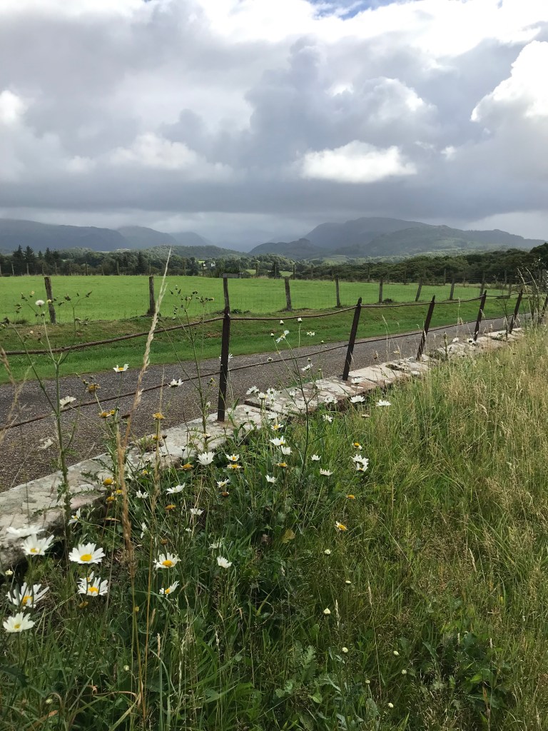 Lane leading to distant hills