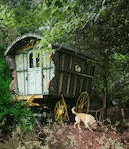 Gypsy caravan in wood photo