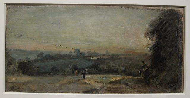 countryside in the evening light