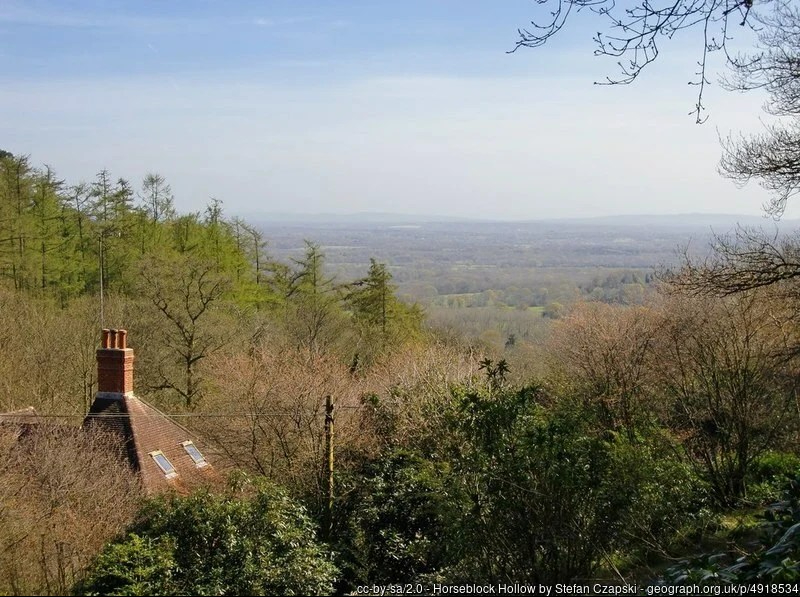 View over the Weald from Spring wood