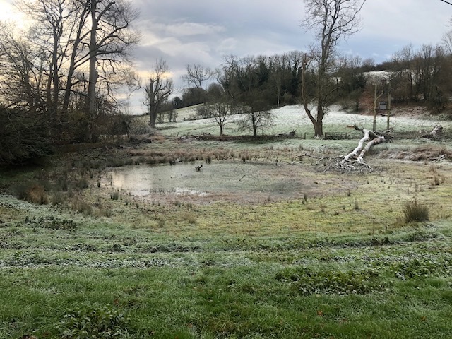 A frosty winter morning on the South Downs